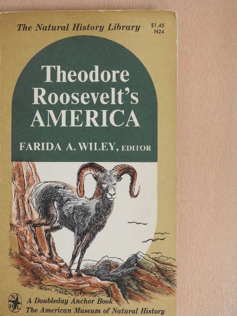 Ambrose Flack - Theodore Roosevelt's America [antikvár]