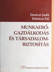 Daróczi Judit - Munkaerőgazdálkodás és társadalombiztosítás [antikvár]