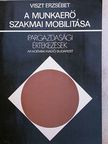 Viszt Erzsébet - A munkaerő szakmai mobilitása [antikvár]