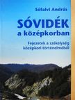 Sófalvi András - Sóvidék a középkorban [antikvár]