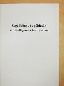 Pogány Csaba - Segédkönyv és példatár az intelligencia tanításához [antikvár]
