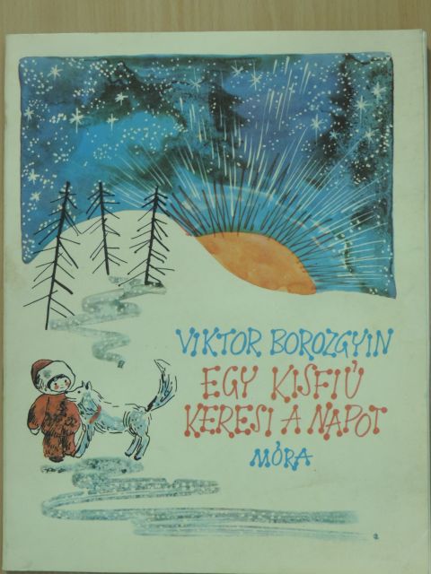 Viktor Borozgyin - Egy kisfiú keresi a napot [antikvár]
