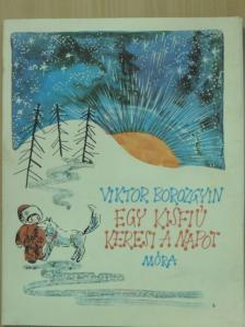 Viktor Borozgyin - Egy kisfiú keresi a napot [antikvár]