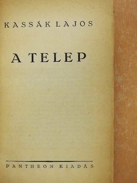 Kassák Lajos - A telep [antikvár]