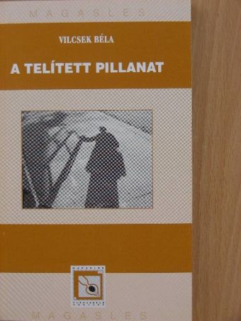 Vilcsek Béla - A telített pillanat [antikvár]