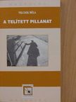 Vilcsek Béla - A telített pillanat [antikvár]