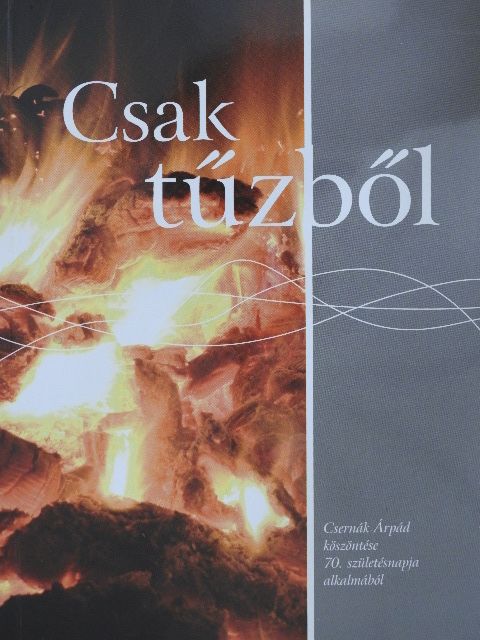 Baán Tibor - Csak tűzből [antikvár]