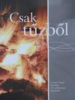 Baán Tibor - Csak tűzből [antikvár]