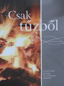 Baán Tibor - Csak tűzből [antikvár]