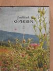Kiss Árpád - Emlékek képekben (minikönyv) [antikvár]