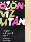 Alexander Kluge - Özönvíz után [antikvár]