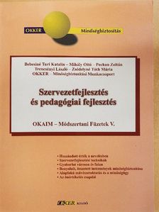 Bebesiné Turi Katalin - Szervezetfejlesztés és pedagógiai fejlesztés [antikvár]