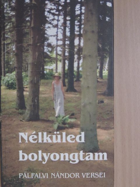 Pálfalvi Nándor - Nélküled bolyongtam [antikvár]