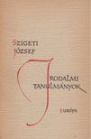 SZIGETI JÓZSEF - Irodalmi tanulmányok [antikvár]