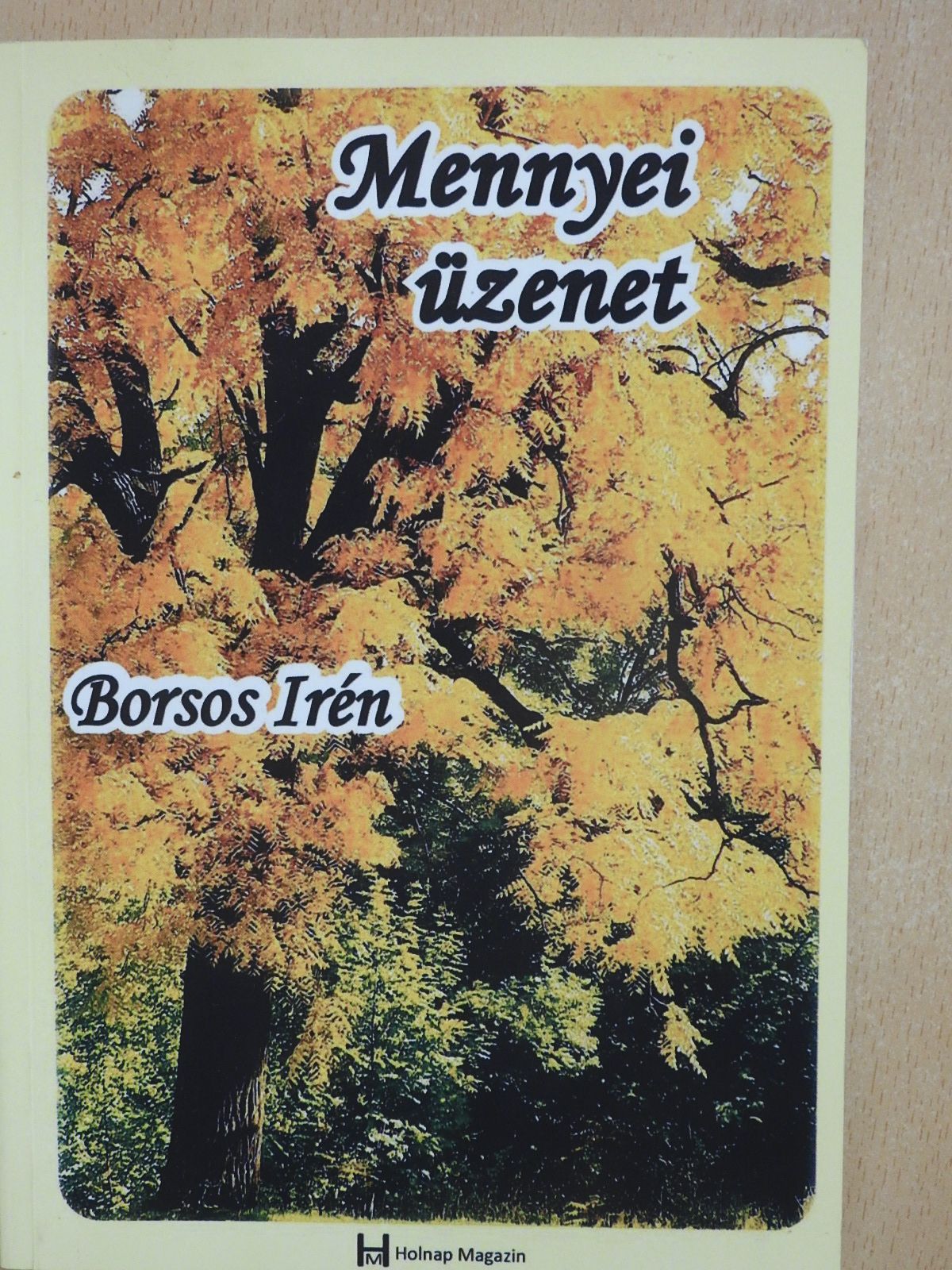 Borsos Irén - Mennyei üzenet (dedikált példány) [antikvár]