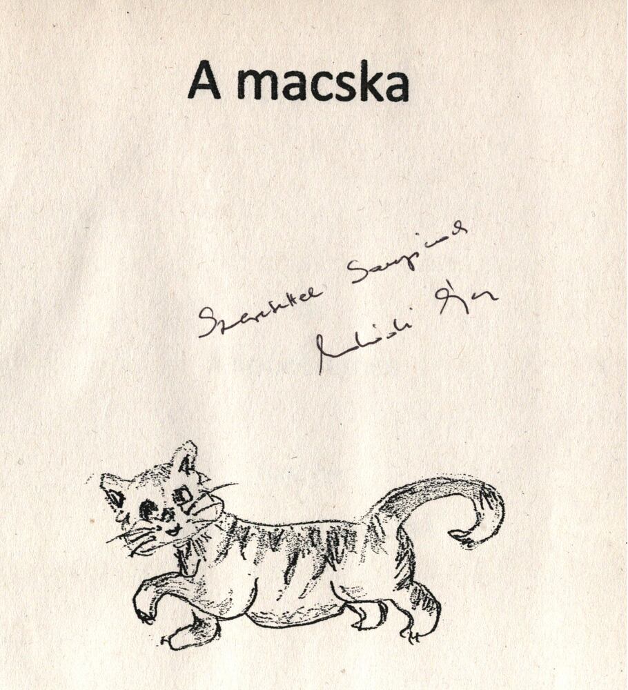 Andódi Ágnes - A macska (dedikált) [antikvár]