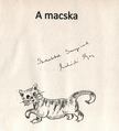 Andódi Ágnes - A macska (dedikált) [antikvár]