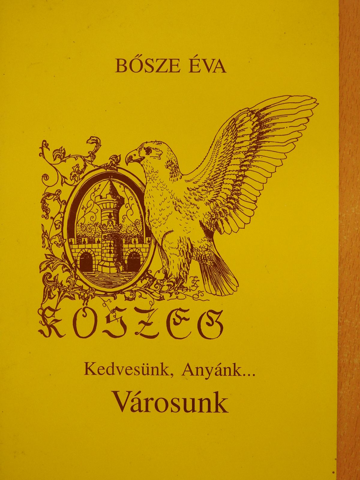 Bősze Éva - Kedvesünk, Anyánk... Városunk (dedikált példány) [antikvár]