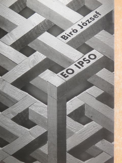 Bíró József - Bíró Eo ipso [antikvár]
