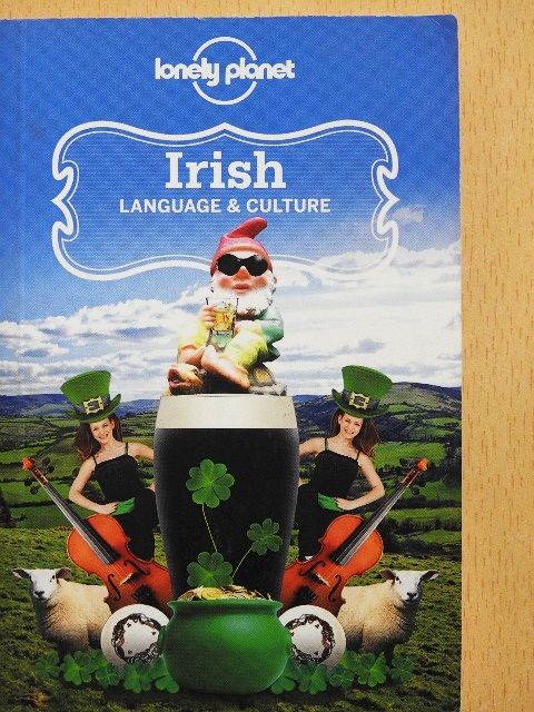 Irish - Language & Culture [antikvár]