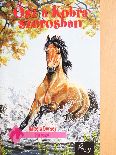 Angela Dorsey - Ősz a Kobra-szorosban [antikvár]