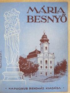 P. Medgyesi Dezső - Máriabesnyő [antikvár]