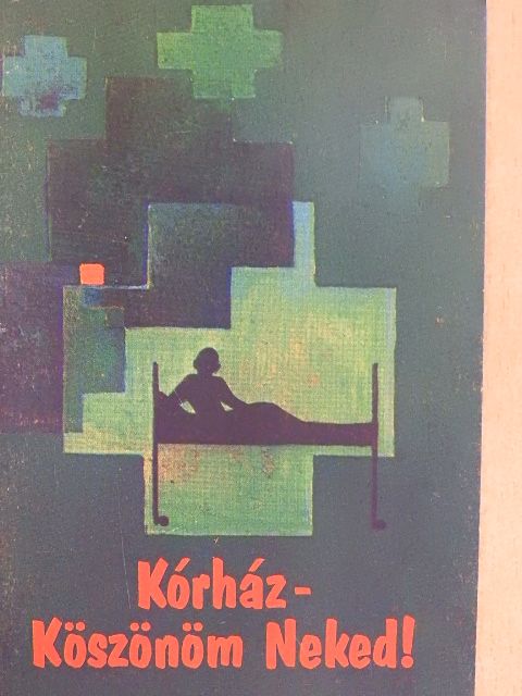 Jan Rouw - Kórház - köszönöm neked! [antikvár]