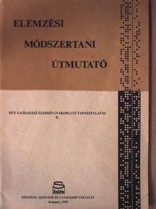 Varga László - Elemzési módszertani útmutató [antikvár]