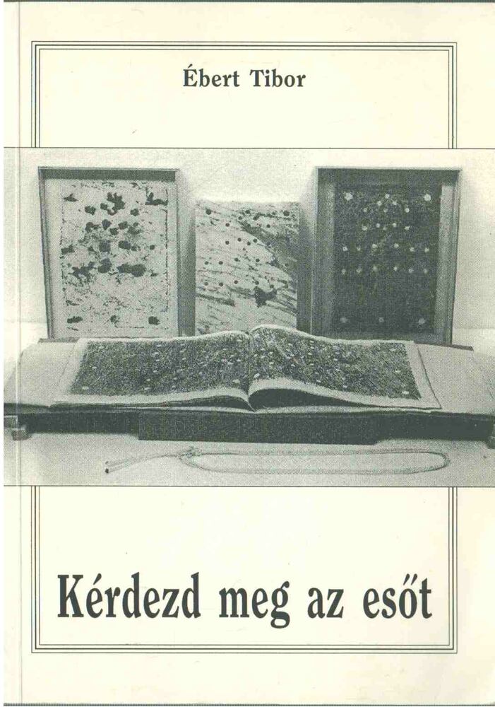 Ébert Tibor - Kérdezd meg az esőt [antikvár]