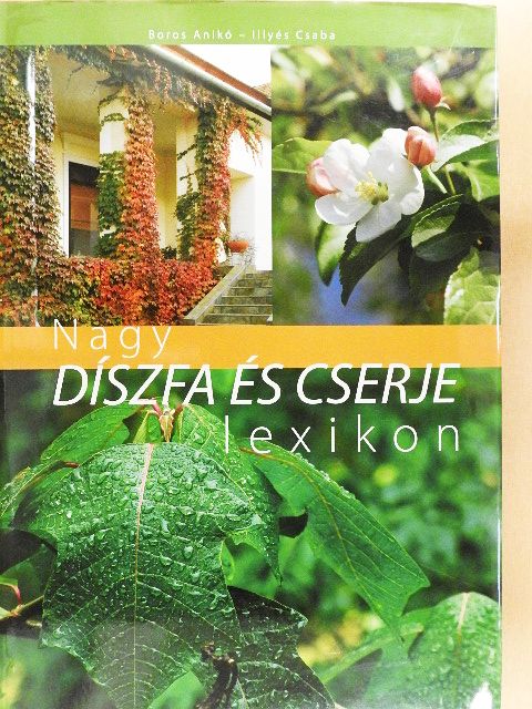 Boros Anikó - Nagy díszfa és cserje lexikon [antikvár]