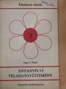 Nagy J. József - Anyanyelvi feladatgyűjtemény 3. [antikvár]