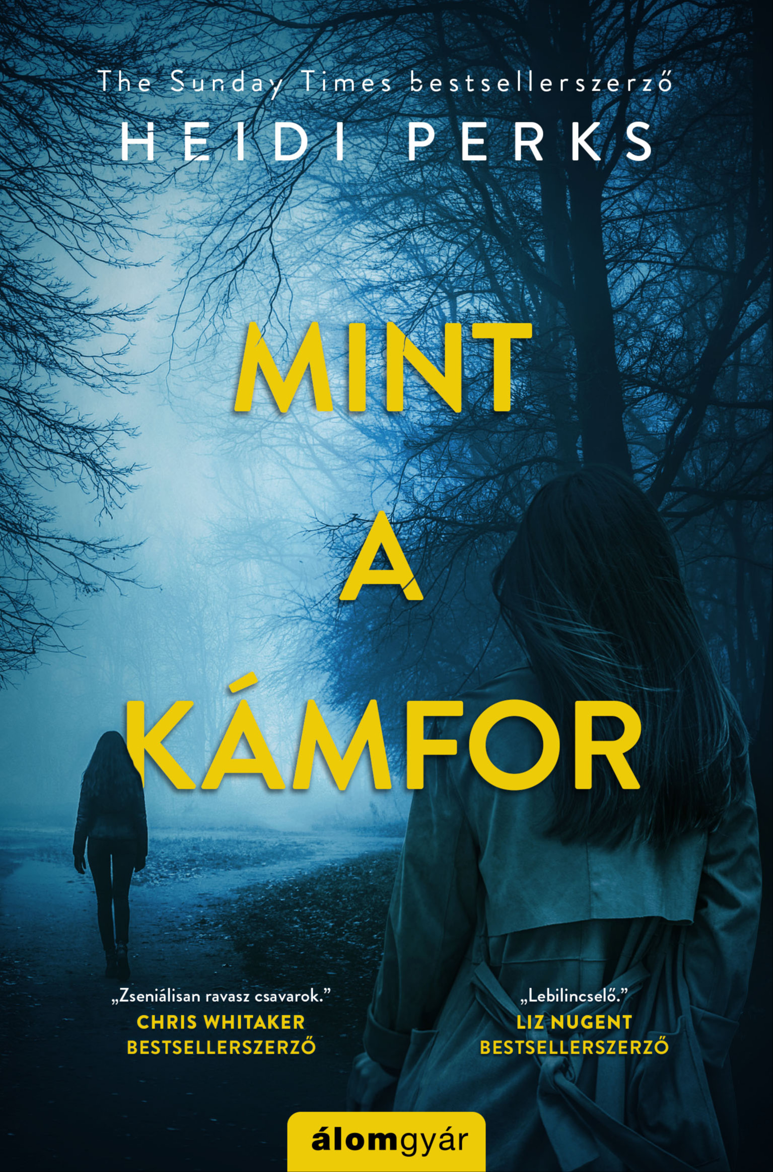 Heidi Perks - Mint a kámfor [eKönyv: epub, mobi]