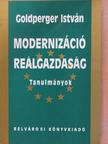 Goldperger István - Modernizáció - reálgazdaság [antikvár]