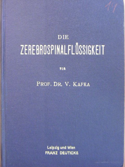 Prof. Dr. V. Kafka - Die Zerebrospinalflüssigkeit [antikvár]