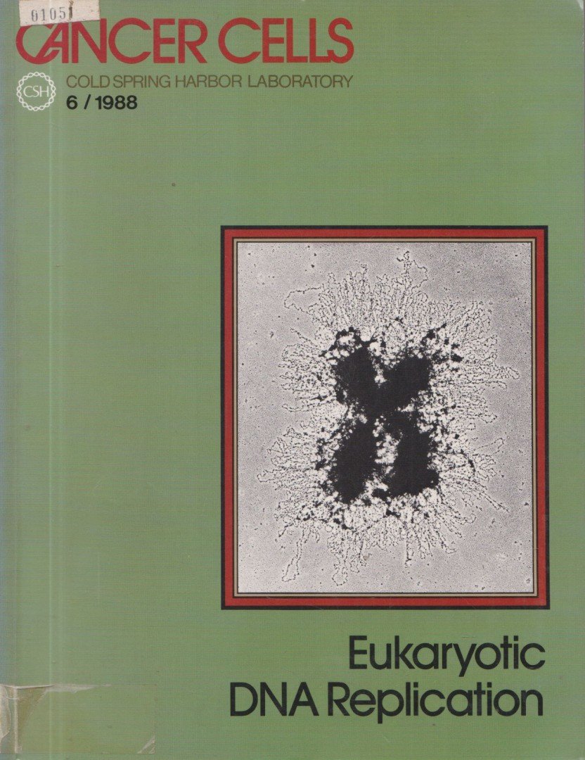Thomas Kelly - Eukaryotic DNA Replication [antikvár]