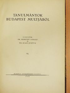 Belitzky János - Tanulmányok Budapest multjából VI. [antikvár]