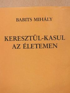 Babits Mihály - Keresztül-kasul az életemen [antikvár]