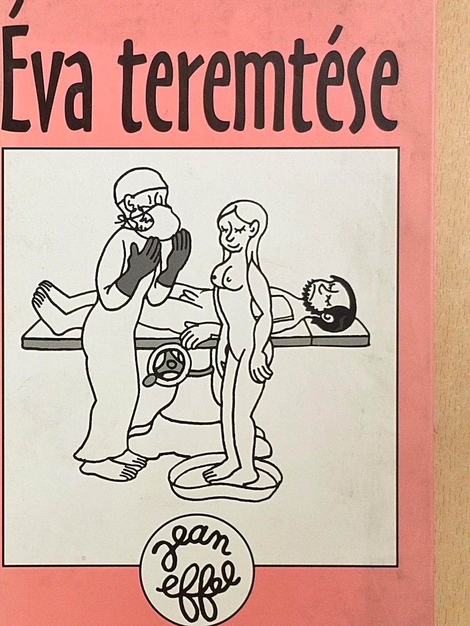 Vörös Zsófia - Éva teremtése [antikvár]