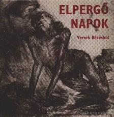 Tóth Lajos - Elpergő napok [antikvár]