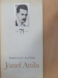 Aczél György - József Attila [antikvár]