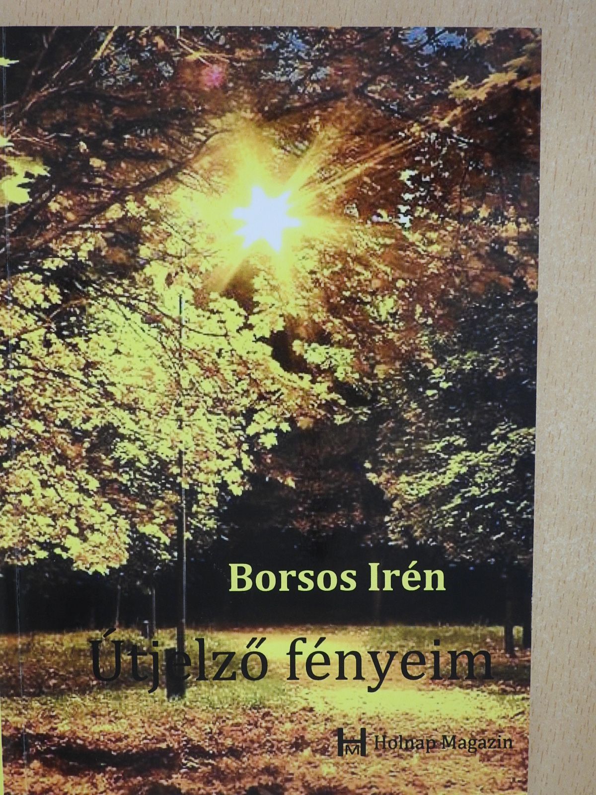 Borsos Irén - Útjelző fényeim (dedikált példány) [antikvár]