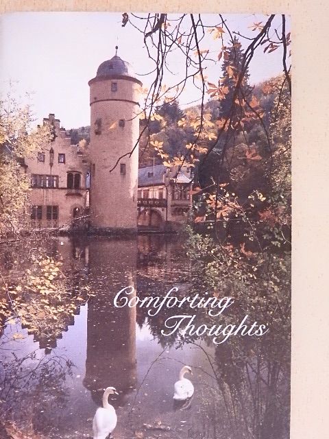Catherine Janssen - Comforting Thoughts [antikvár]
