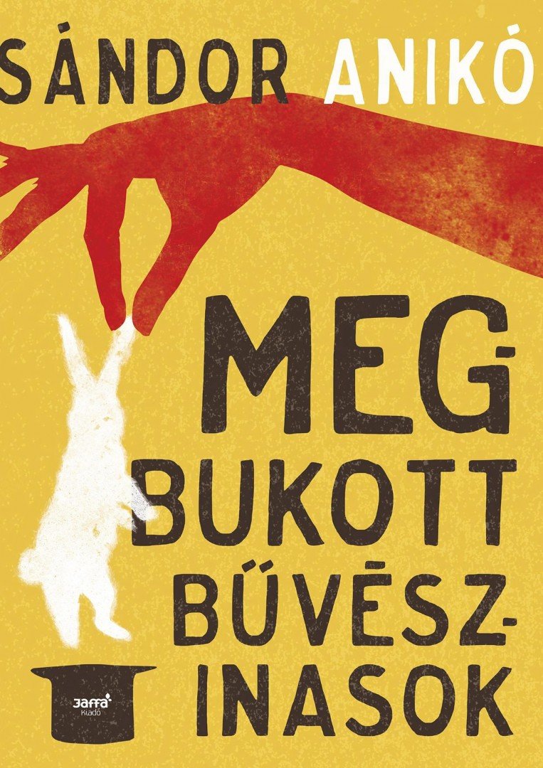 Sándor Anikó - Megbukott bűvészinasok [antikvár]
