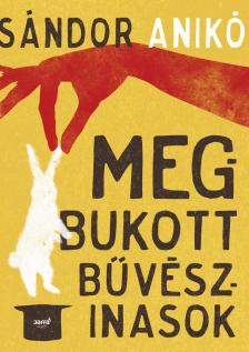 Sándor Anikó - Megbukott bűvészinasok [antikvár]