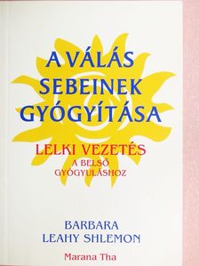 Barbara Leahy Shlemon - A válás sebeinek gyógyítása [antikvár]