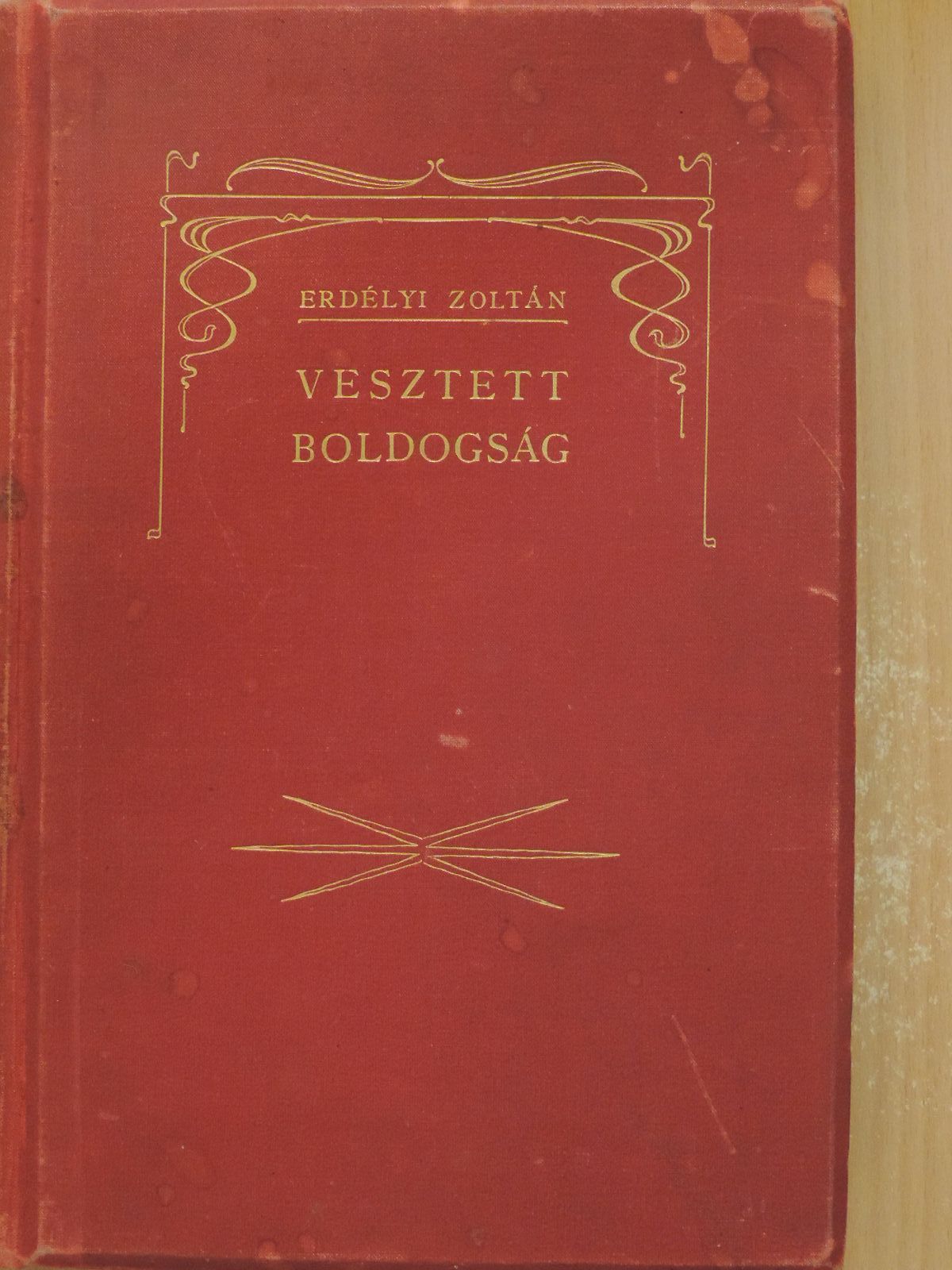 Erdélyi Zoltán - Vesztett boldogság [antikvár]