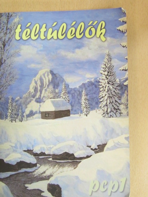 Jószay Magdolna - Téltúlélők 2019. február [antikvár]