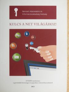 Árvay Viktor - Kulcs a NET világához! [antikvár]