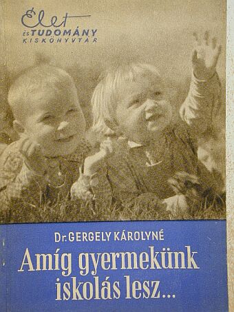 Dr. Gergely Károlyné - Amíg gyermekünk iskolás lesz... [antikvár]