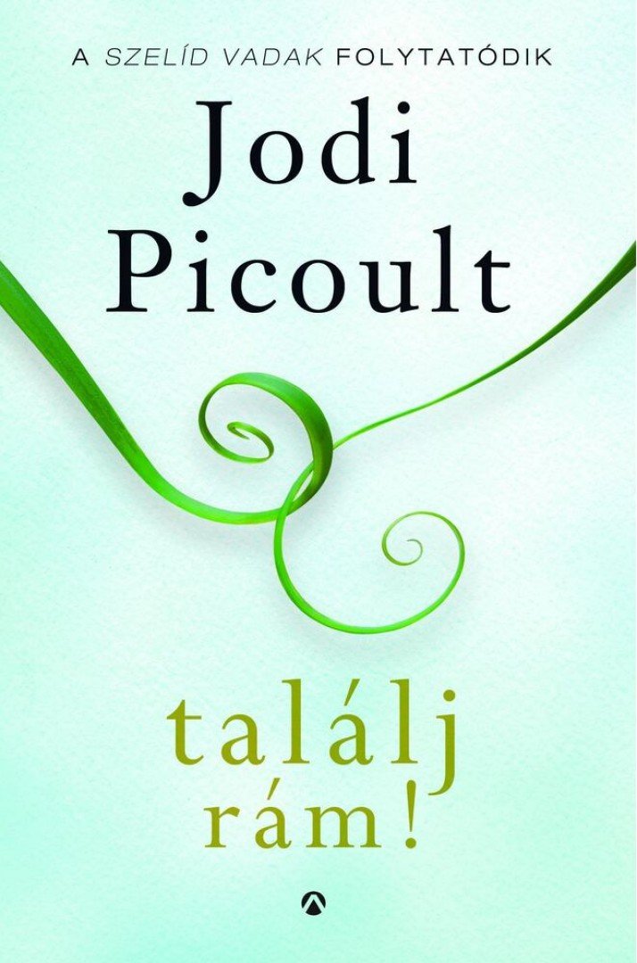 Jodi Picoult - Találj rám! [antikvár]